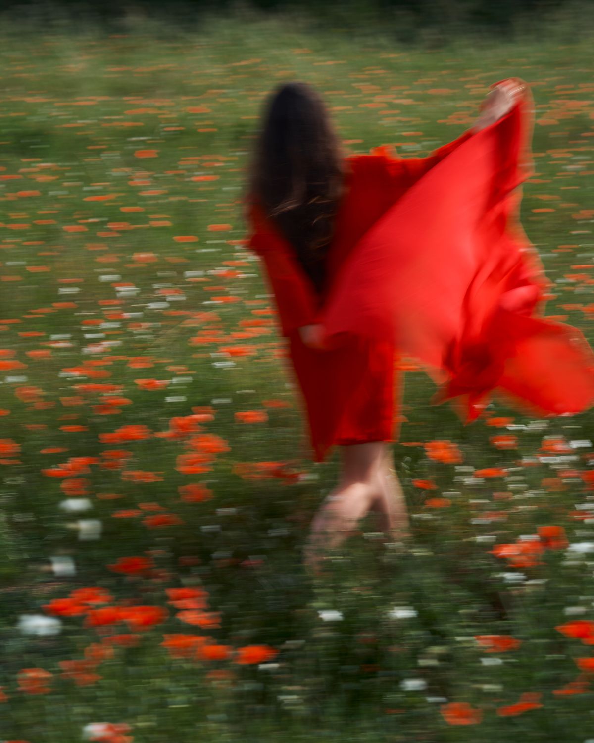 A dark-haired woman dancing in a red dress in a field of poppies.